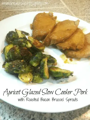 Apricot Glazed Slow Cooker Pork2