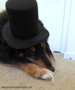 Sad Bear Tophat