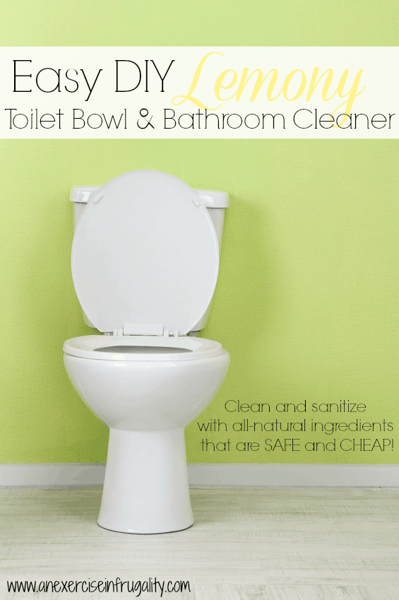 DIY Bathroom Cleaner