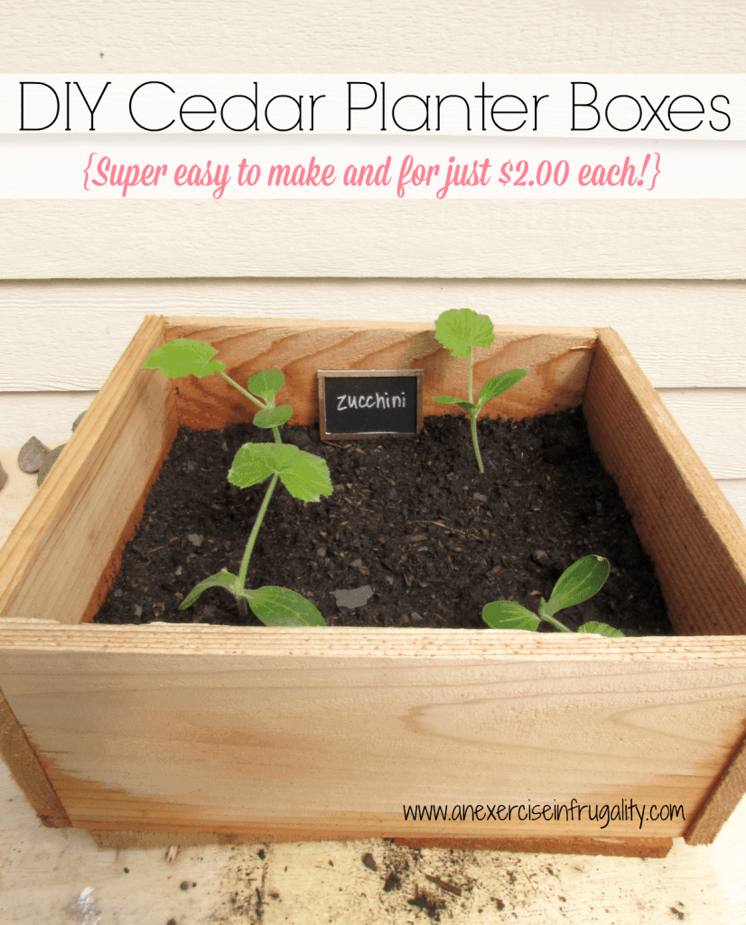 DIY Cedar planter boxes