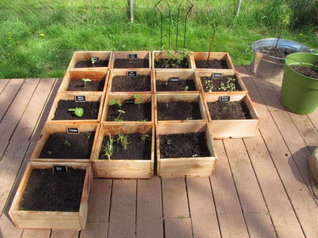 Cedar planters