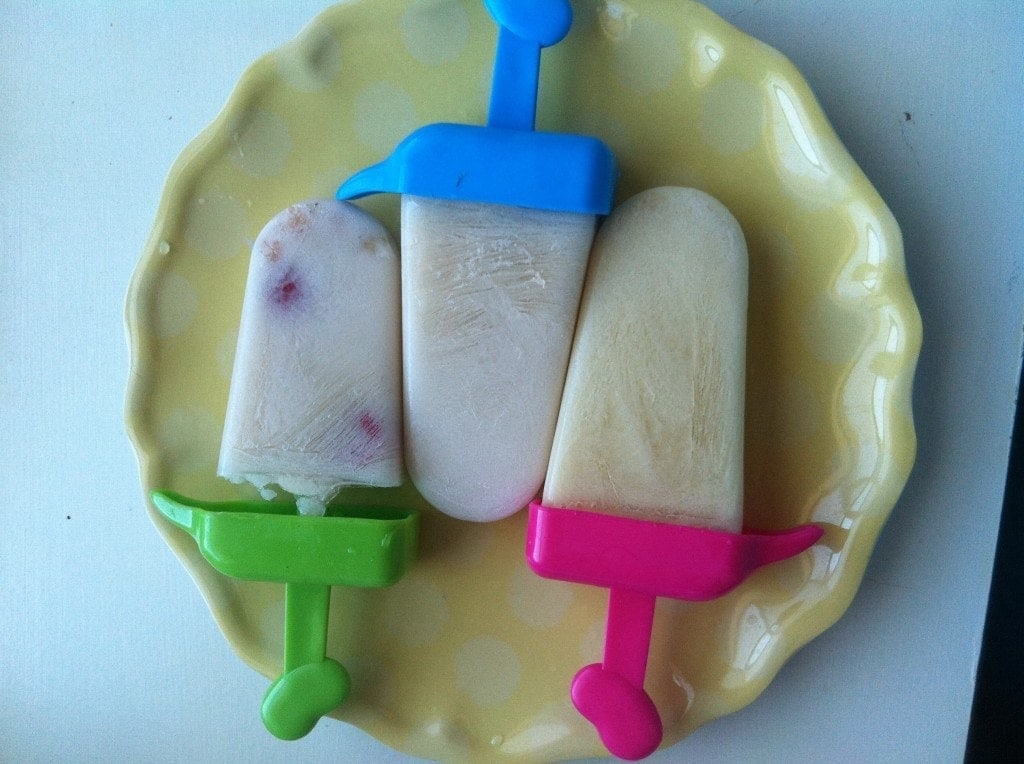 Silk Almond Milk Popsicles