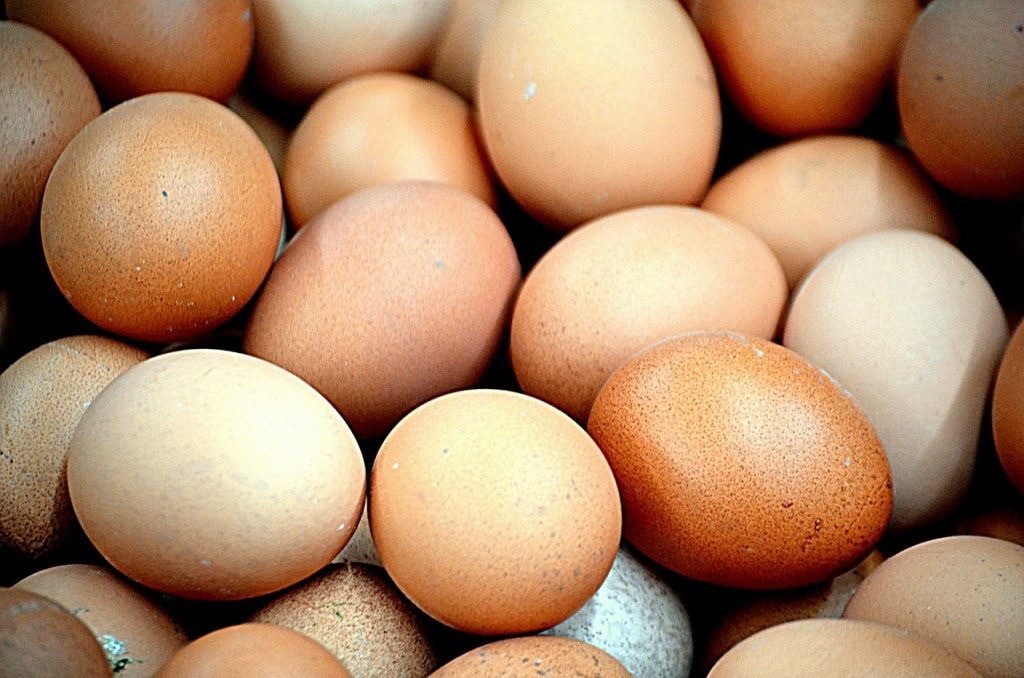 how to dehydrate eggs