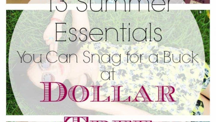 13 Summer Essentials for a dollar at Dollar Tree