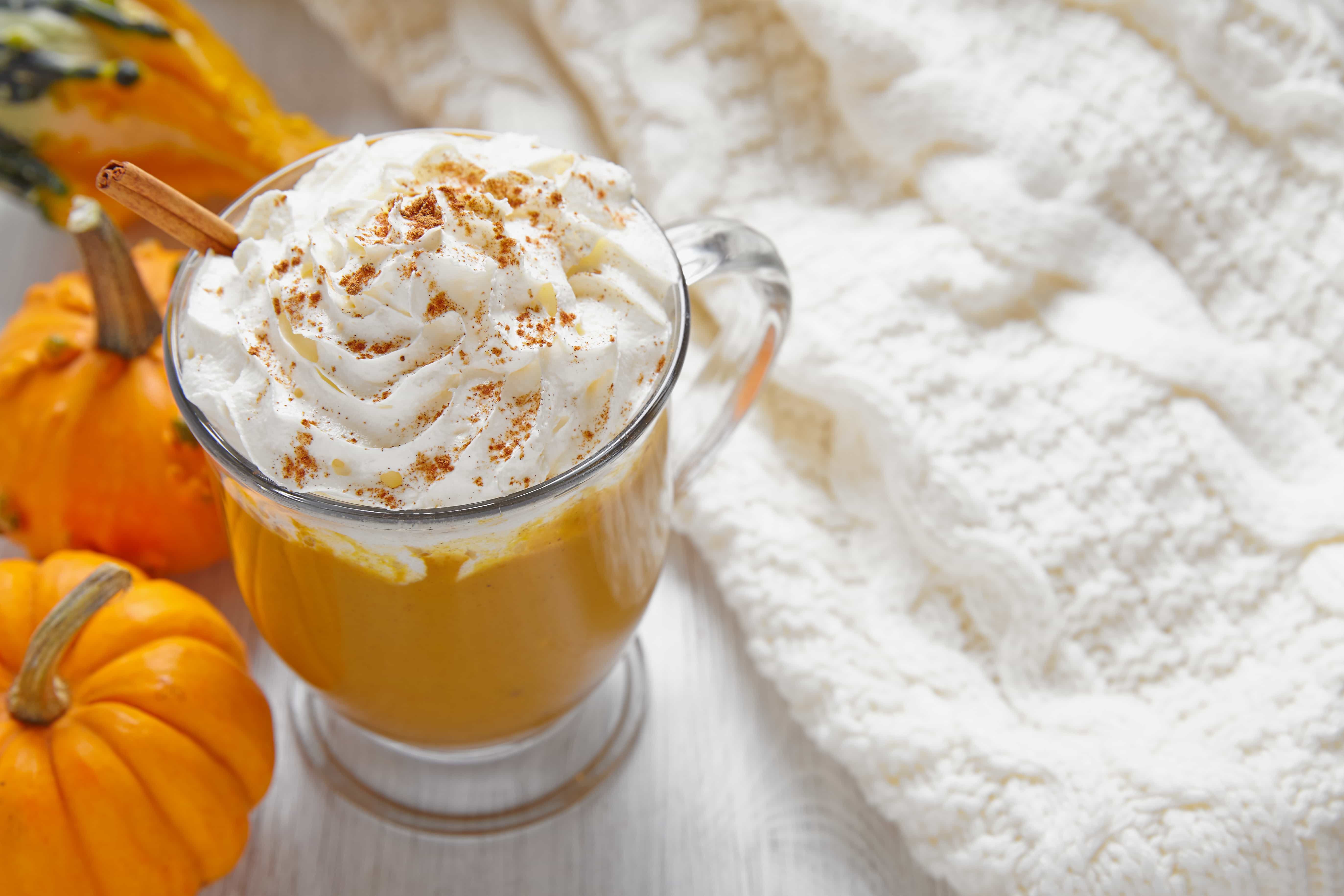 Amazing Pumpkin Spice Recipes An Exercise In Frugality