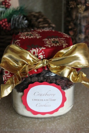 Cranberry chocolate chip cookie mason jar gift