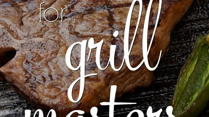 Gifts for Grillers- Whether they are a meat lover or a vegtarian, grillmasters of all types will totally dig these great gifts for grillers! Make any ol' receipe feel like something special with these great grill worthy gifts!
