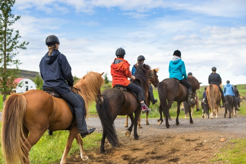 Horseback riding Long Island, NY