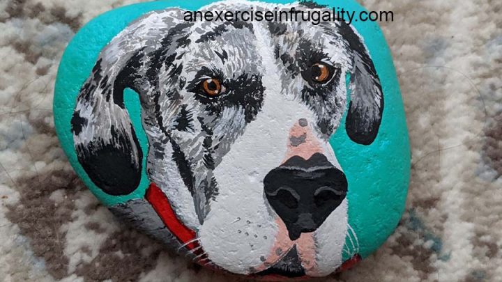 rock painted teal with black and white great dane face