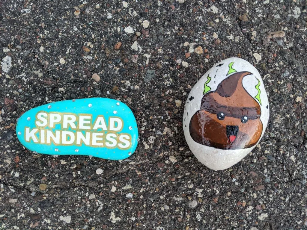 teal painted rock with the words spread kindness and painted rock with poop emoji