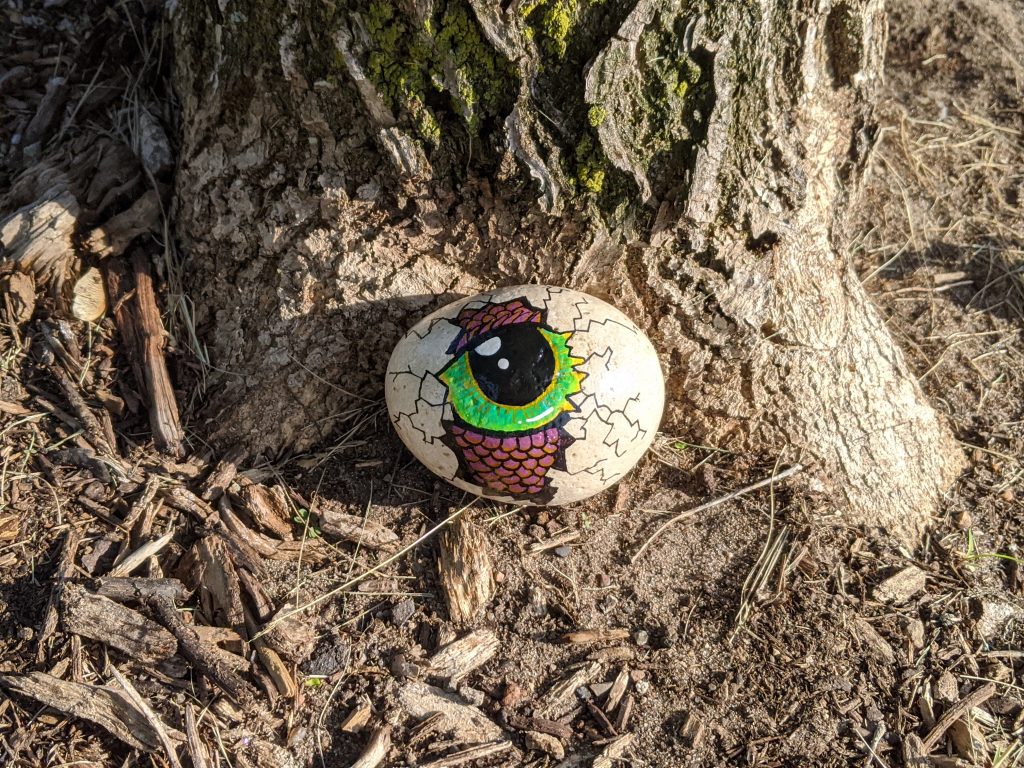 Why Little Painted Rocks Are Popping Up All Over Fairfax